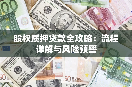 武汉股权质押贷款全攻略：流程详解与风险预警