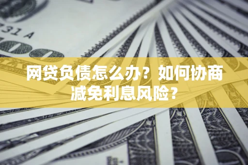 武汉网贷负债怎么办？如何协商减免利息风险？