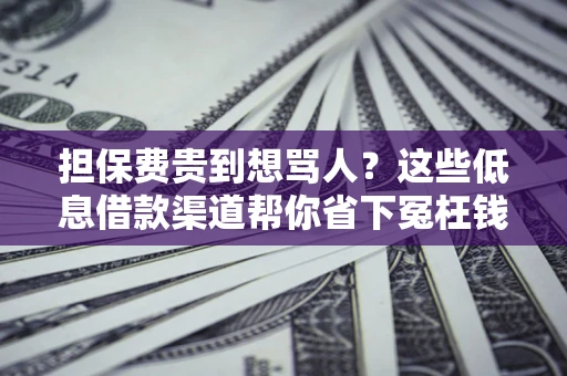 武汉担保费贵到想骂人？这些低息借款渠道帮你省下冤枉钱