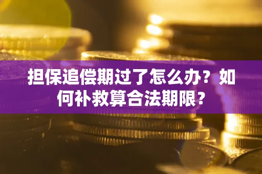 武汉担保追偿期过了怎么办？如何补救算合法期限？