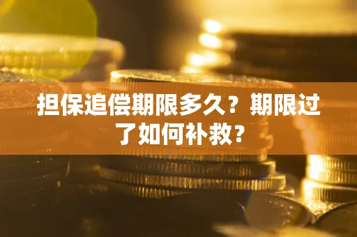 武汉担保追偿期限多久？期限过了如何补救？