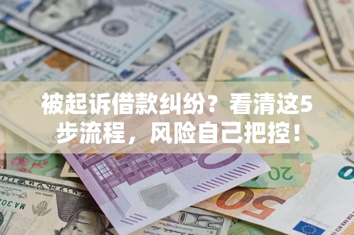 武汉被起诉借款纠纷？看清这5步流程，风险自己把控！