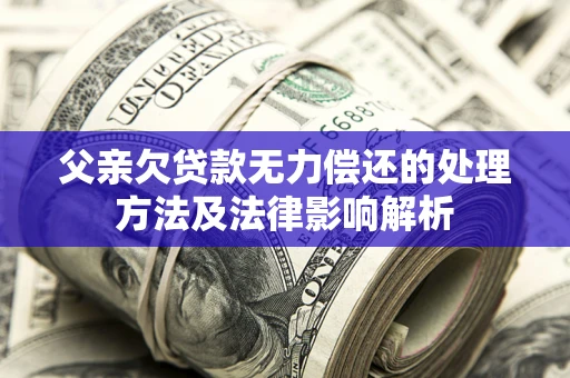武汉父亲欠贷款无力偿还的处理方法及法律影响解析