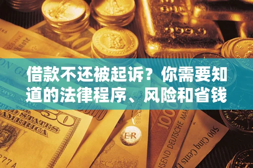 武汉借款不还被起诉？你需要知道的法律程序、风险和省钱技巧
