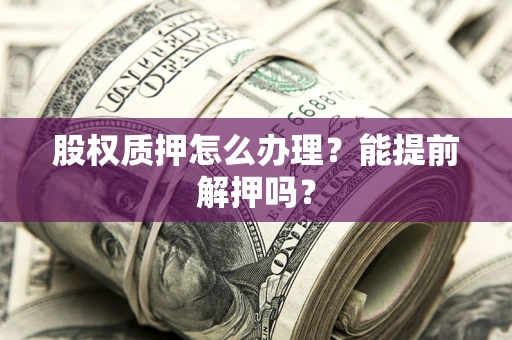 武汉股权质押怎么办理？能提前解押吗？